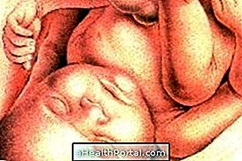 Babyentwicklung - 36 Wochen Schwangerschaft