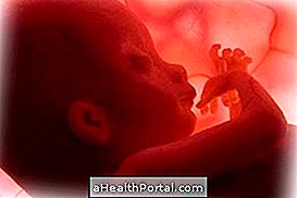 Baby Development - 28 nädalat rase
