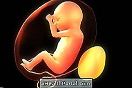 Baby Development - 20 savaičių nėščia