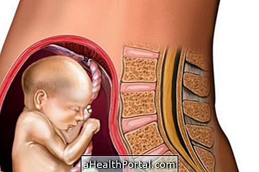 Baby udvikling - 21 uger gravid