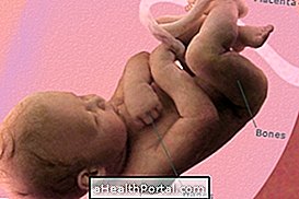 Baby udvikling - 38 ugers svangerskab