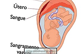 What is the placenta for and what can happen when it is changed