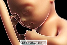 Baby Development - 24 nädalat rase