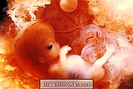 Baby Development - 10 týždňov tehotná
