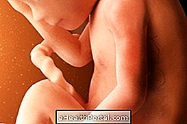 Beebi areng - 26 nädalat rase