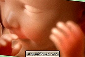 Baby development - 22 weeks gestation