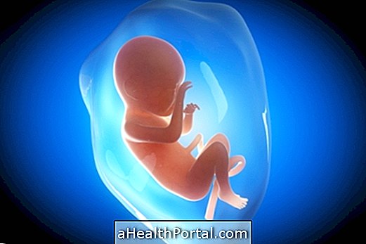 Kūdikių vystymasis - 32 nėštumo savaitės