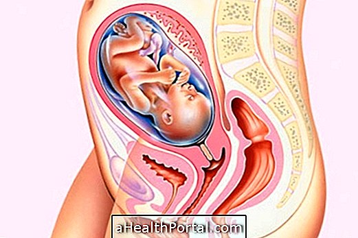 Baby Development - 25 nädalat rase