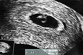 Babyentwicklung - 5 Wochen Schwangerschaft