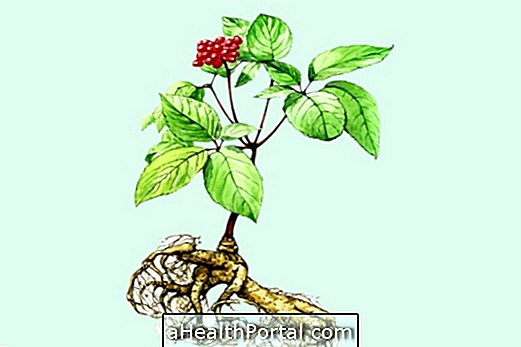 Benefits of Indian Ginseng and How to Use