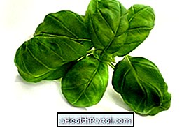 Vorteile von Basil, Verwendung und Pflanzen