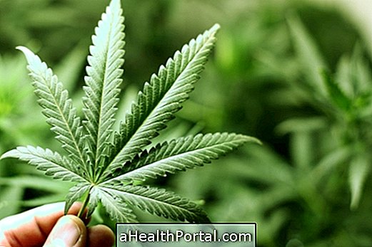 Connaître les principaux effets secondaires de la marijuana
