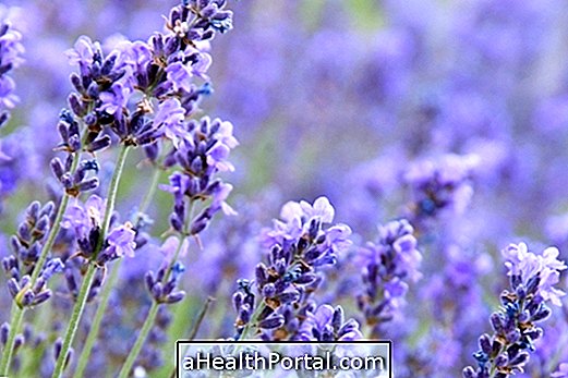 10 Vorteile von Lavendel für die Gesundheit