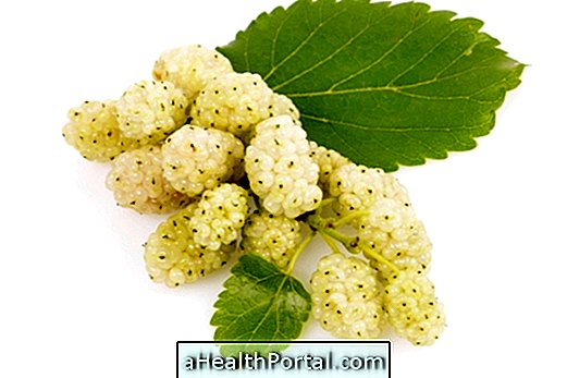 What is white mulberry used for?
