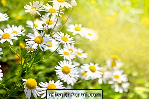 What is Chamomile used for?