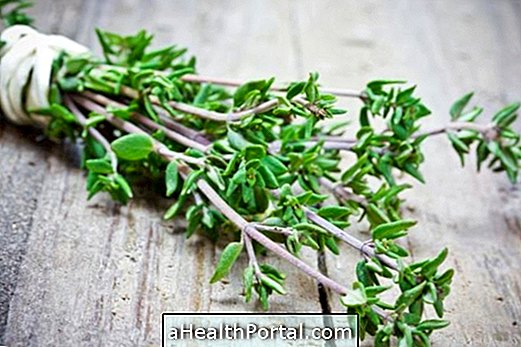 Thyme combats cough and bronchitis