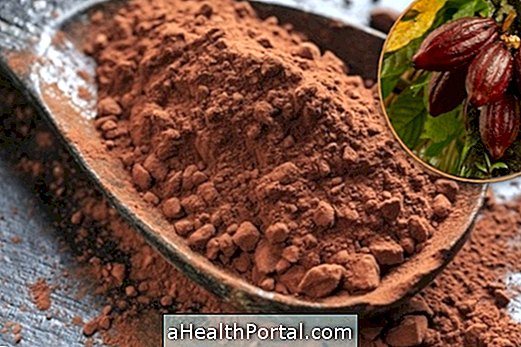 Kakao verbessert die Stimmung und bekämpft das Cholesterin