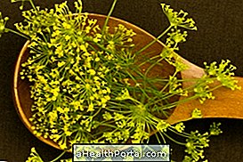 12 Fennel Benefits and How to Use