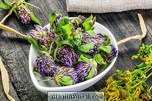 3 Home Remedies for Menopause