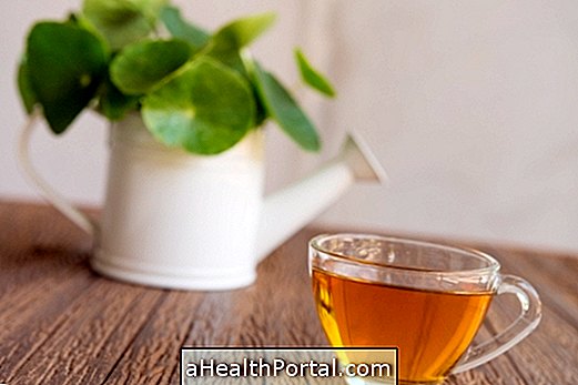 Asian Sparkle Tea für Cellulite
