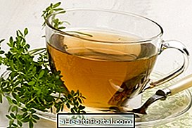 Arruda červový čaj