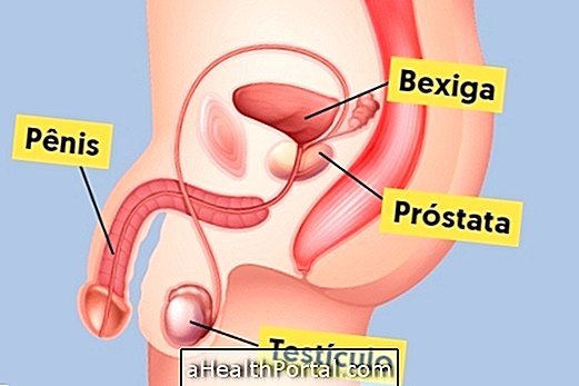 Najpomembnejši simptomi in način zdravljenja raka prostate