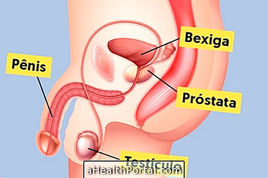 Minden, amit tudnia kell a Prostate-ról