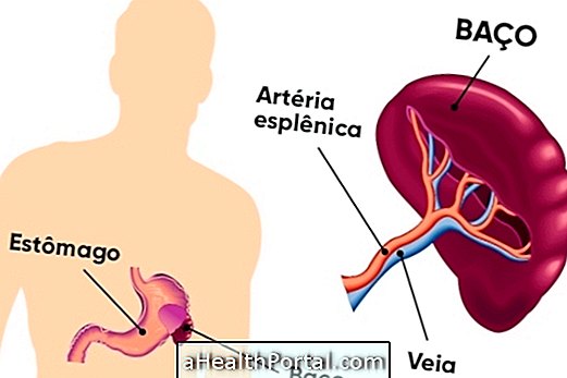 What may be the Increased Spleen