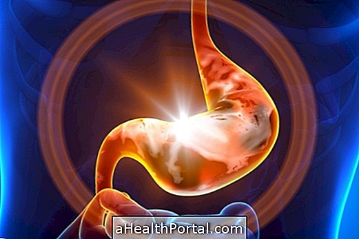 Main Causes and Treatments for Stomach Pain